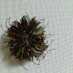 Profile_1071943204_75sq_1391777213