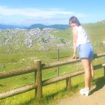 11410402_599371100166350_1747705029_a