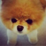 10948205_608448932620316_1385119319_a