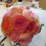 10570217_634320903349506_1914220766_a