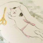 10986191_1410564842587577_1572037465_a