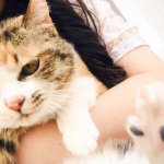 11189456_869695173102838_494820219_a