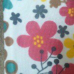 10903520_765878340161654_1699404494_a