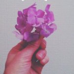 11192765_651804088286463_657389042_a