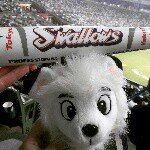 11424592_996695620343126_866777389_a