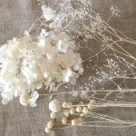 11376623_854921777890347_755625537_a