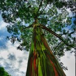 10311223_1402786556679949_2000749807_a