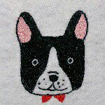 11264177_1446267112352197_2089734942_a