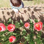 11355874_1611085019139157_1032996370_a