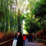 Profile_6831537_75sq_1385906962