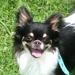 10499097_675274925885672_879469840_a