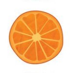 11098429_290890274414807_570425547_a