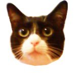 11176075_1441522562824563_310397740_a