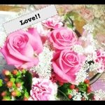 Profile_2581520_75sq_1300365016