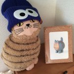 10953624_1556327224615052_1211036680_a