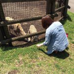 11312270_1390079737989220_1692626115_a