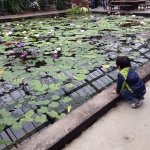 Profile_1293983779_75sq_1399364418