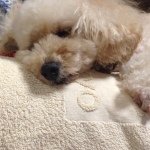 Profile_52875538_75sq_1399851065