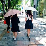 11330525_407067992814482_894007933_a