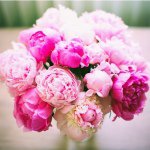 10755966_1375984149369688_1075222707_a