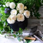 10986275_1107845345909048_441519490_a