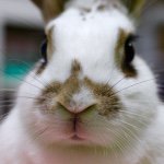 11335774_811010745685048_420819997_a