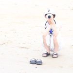 11325201_1597122553909927_1552109984_a