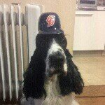 927294_594829713971823_733832642_a