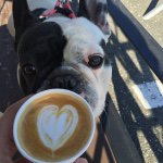 10903304_1601009080134489_650138714_a