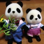 10369314_533893330066183_1672382633_a