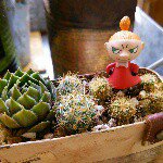 11356509_128898294108034_2121973692_a