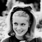 11424707_1658463781050732_135388947_a