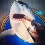 10661068_535862159880355_698513144_a