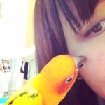 10903464_349002278616872_480233191_a