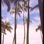 Profile_348435139_75sq_1387506261