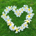 10251434_551421784968091_589995696_a