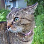 10853043_843756019008208_187293658_a