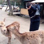 11374754_880996651936421_1343434110_a