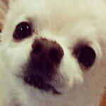 10727738_764755273588720_852318974_a