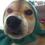 10576179_522368827895834_1137408436_a