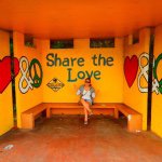 11203433_1598278420389598_1591664279_a