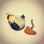 10990561_499974330152296_2058960748_a