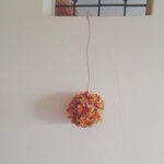 11376597_1605463066379781_1033269118_a