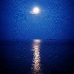 11243542_1433426960296884_824541589_a