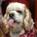 10963769_574966229300910_312252859_a