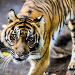 10950568_433042613520972_455681293_a