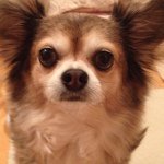 Profile_387880286_75sq_1369117583