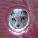 Profile_269776609_75sq_1392096501