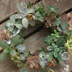 Profile_349555162_75sq_1383262170