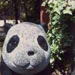 10601973_702259169864895_520907153_a